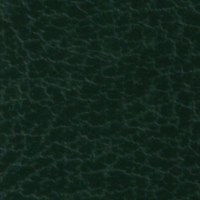 PelucheGreen.jpg