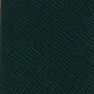 silkBgreen.jpg